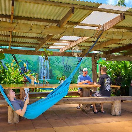 On The Wallaby Eco Lodge Yungaburra Buitenkant foto